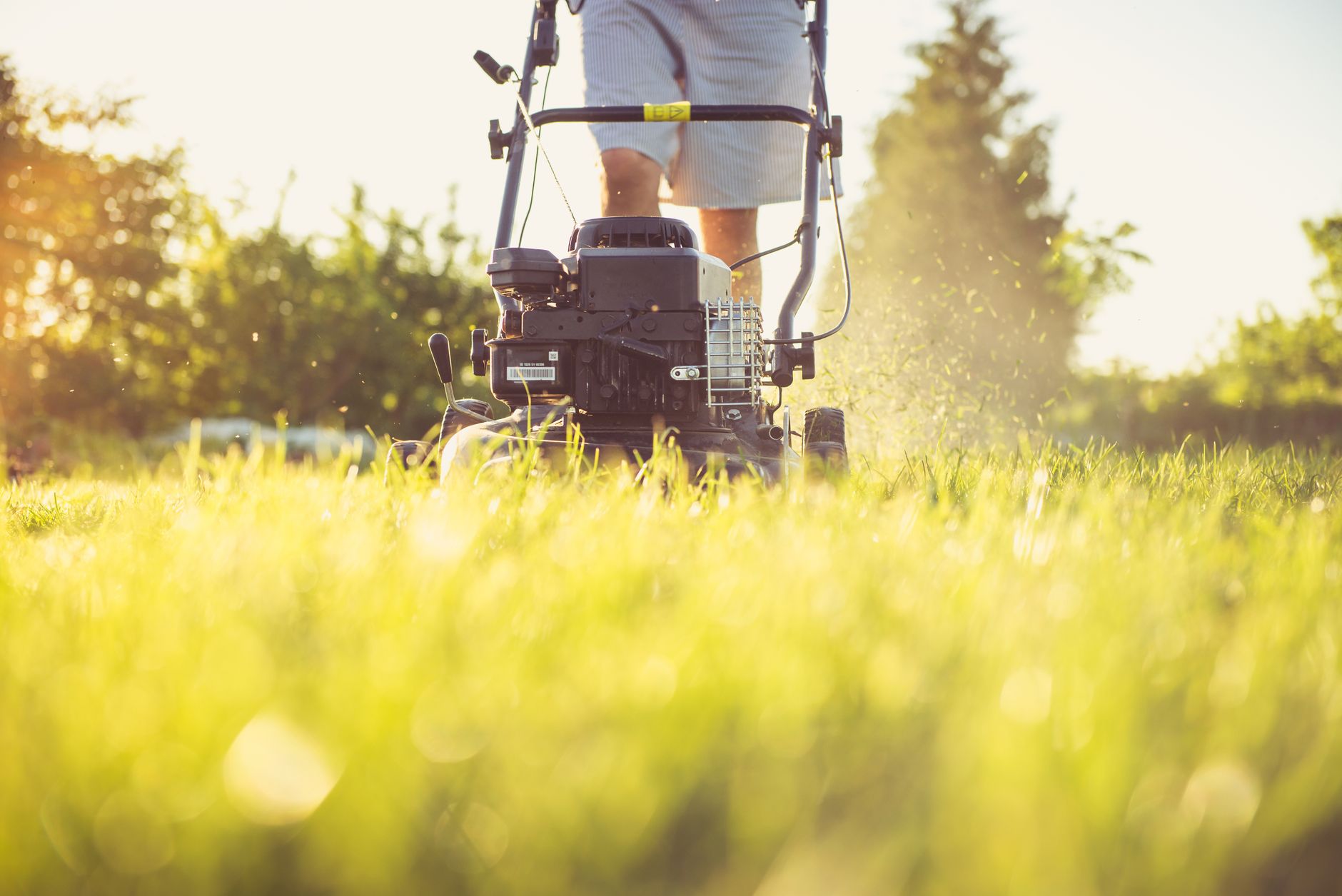 Mower options considered for a purchase