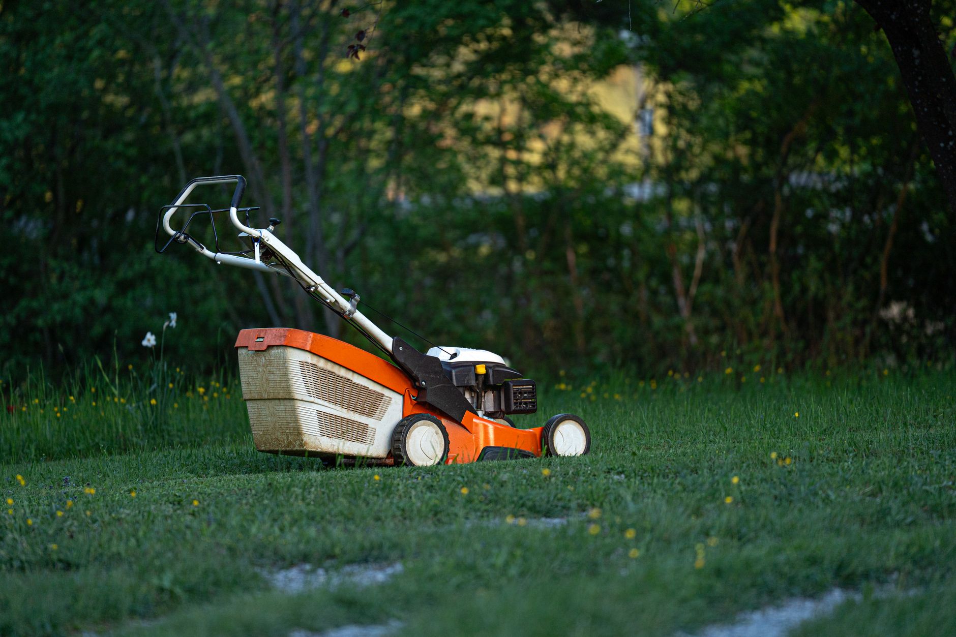 Mower ready for routine lawn work