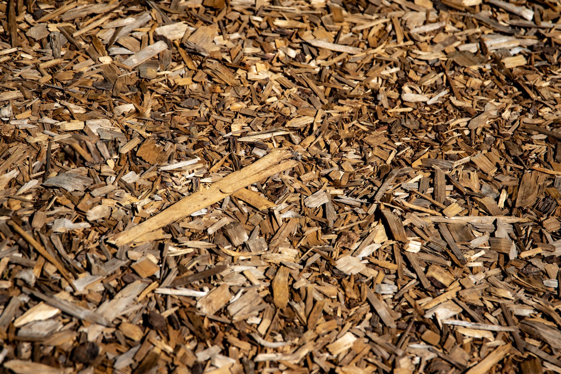 What Is the Difference between Mulching and Bagging? For Lawns